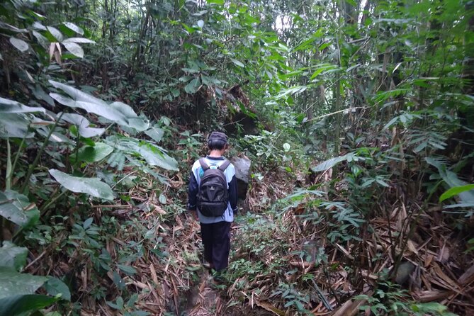 Yogyakarta Countryside Walking Tour - Taking in Local Culture