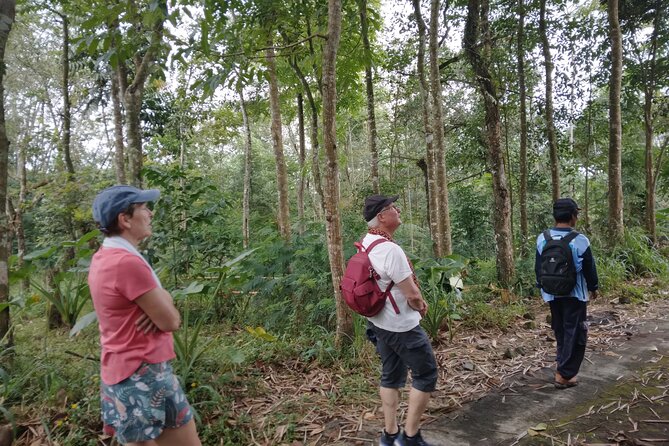Yogyakarta Countryside Walking Tour - Visiting Iconic Temples