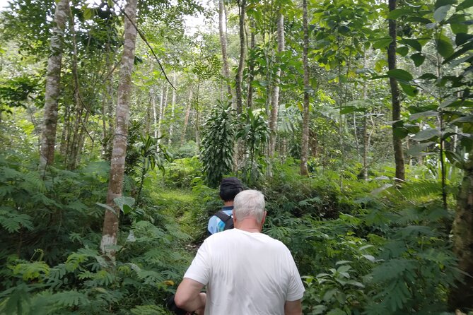Yogyakarta Countryside Walking Tour - Connecting With Artisan Communities