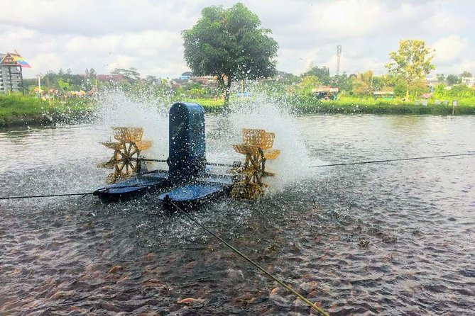 Yogyakarta Cycling Tour Around the Villages and Fish Farm - Refreshments and Breaks