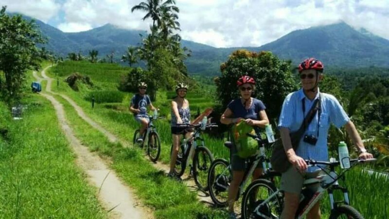 Yogyakarta: Half-Day Guided Bike City Tour - Practical Tips for Participants