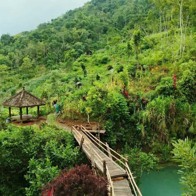 Yogyakarta: Hidden Paradise of Yogyakarta Waterfall & Swim - An In-Depth Look at the Experience