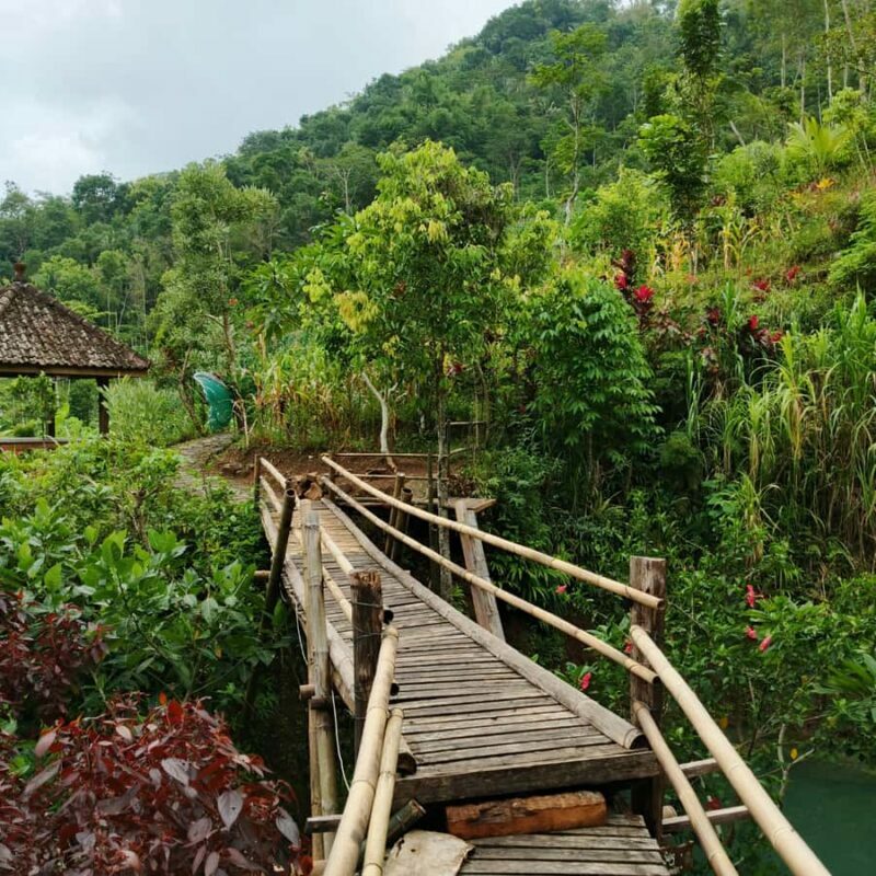 Yogyakarta: Hidden Paradise of Yogyakarta Waterfall & Swim - Who Will Love This Tour?