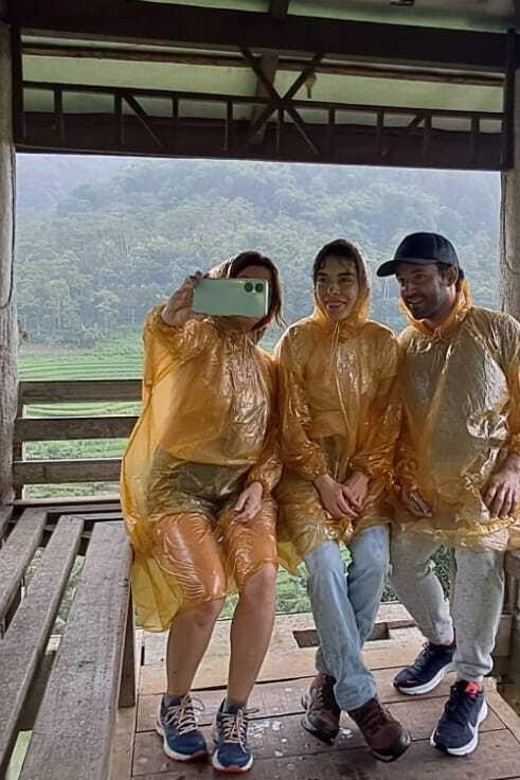 Yogyakarta : Java Rice Terrace Trek & Selogrio Temple Tour - Scenic Landscape