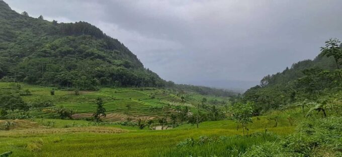 Yogyakarta : Java Rice Terrace Trek & Selogrio Temple Tour - Exploring Yogyakarta