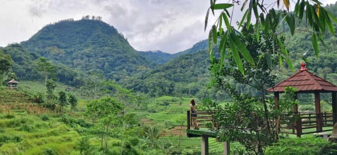 Yogyakarta : Java Rice Terrace Trek & Selogrio Temple Tour - Frequently Asked Questions
