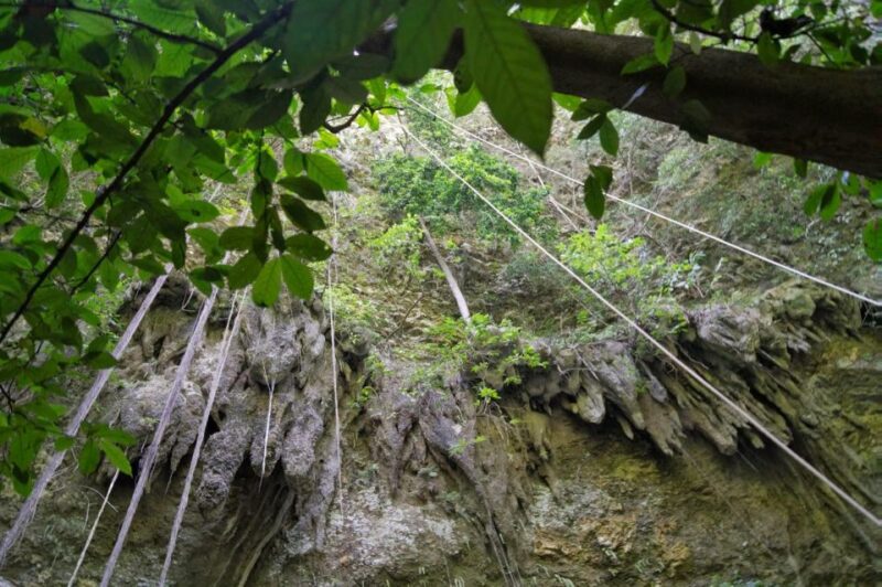 Yogyakarta: Jomblang Cave and Pindul Cave Adventure Trip - Itinerary and Activities