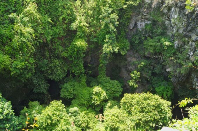 Yogyakarta: Jomblang Cave and Pindul Cave Adventure Trip - Frequently Asked Questions