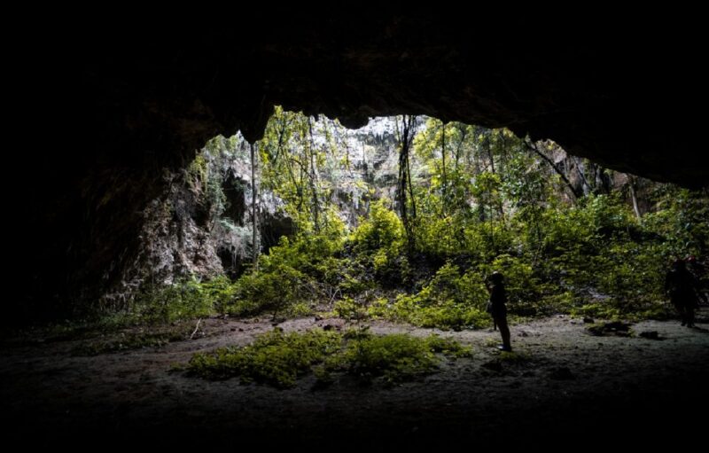 Yogyakarta: Jomblang & Pidul Cave Guided Adventure - Inclusions and Requirements