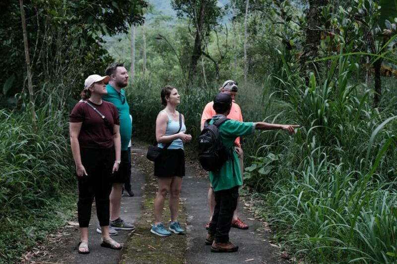 Yogyakarta : Mount Merapi Soft Trek and Botanic Village Tour - Why This Tour Stands Out