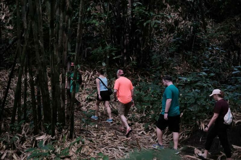 Yogyakarta : Mount Merapi Soft Trek and Botanic Village Tour - The Guide and Overall Experience