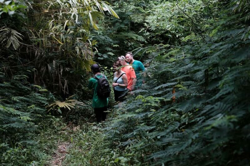 Yogyakarta : Mount Merapi Soft Trek and Botanic Village Tour - Final Thoughts