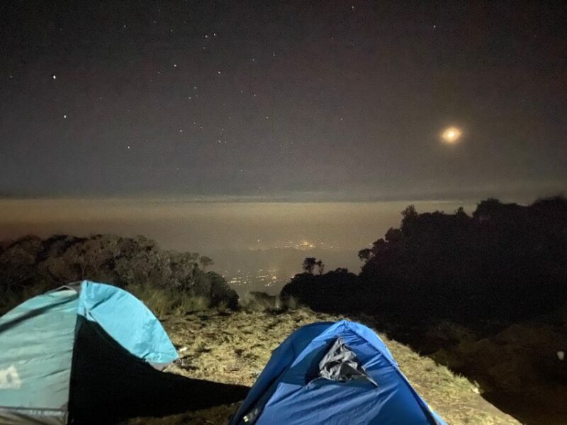 Yogyakarta: Mt. Merbabu 1 Day Hike / Camping Options - Hiking Experience
