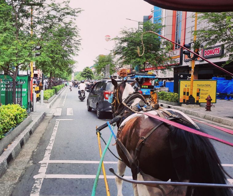 Yogyakarta: Private Car Charter With Professional Driver - Itinerary and Customization