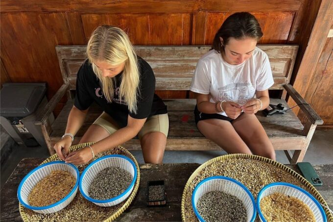 Yogyakarta: Private Custom Women-Only Tour With Female Guide - Additional Costs