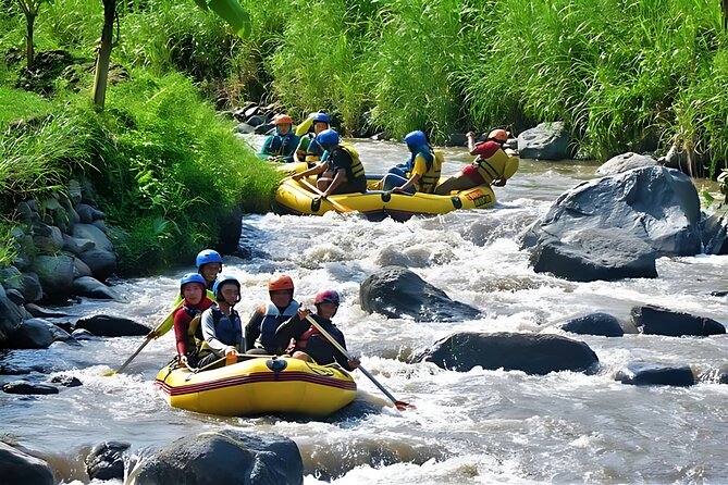 Yogyakarta Rafting Tour for Family II-III or Professional V+ - Stunning Balinese Scenery