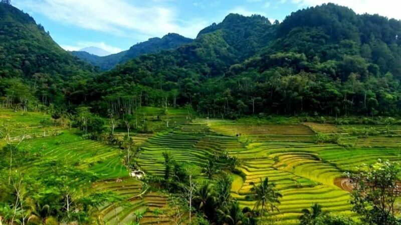 Yogyakarta: Selogriyo Temple and Rice Terrace Soft Trekking - The Itinerary in Detail