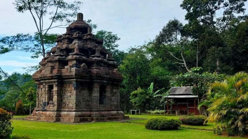 Yogyakarta: Selogriyo Temple and Rice Terrace Soft Trekking - What to Expect and Practical Tips
