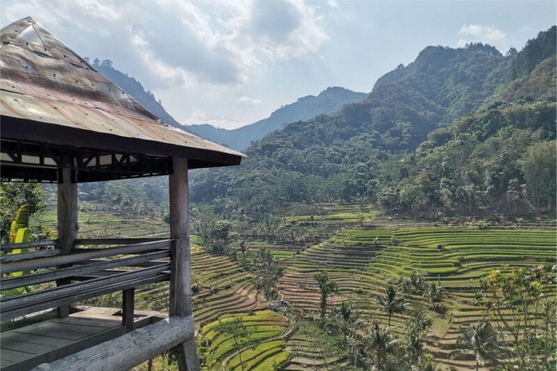 Yogyakarta: Selogriyo Temple, Rice Terraces & Waterfall Tour - Important Information