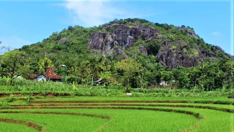 Yogyakarta Soft Trekking Tour to Nglanggeran Ancient Volcano - Trekking Difficulty and Suitability