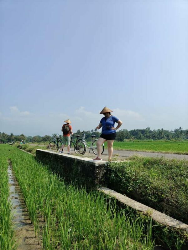 Yogyakarta: Tailor-Made Private Car Rental With Driver - Authentic Experiences and Traveler Feedback