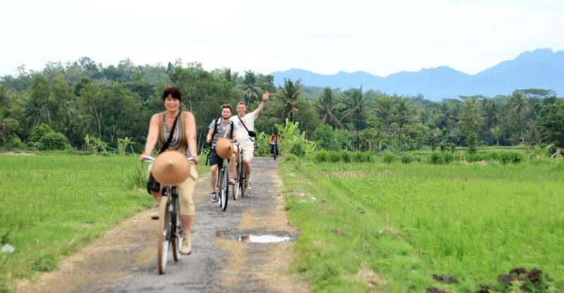 Yogyakarta: Traditional Village Bicycle Tour With Transfer - Key Points