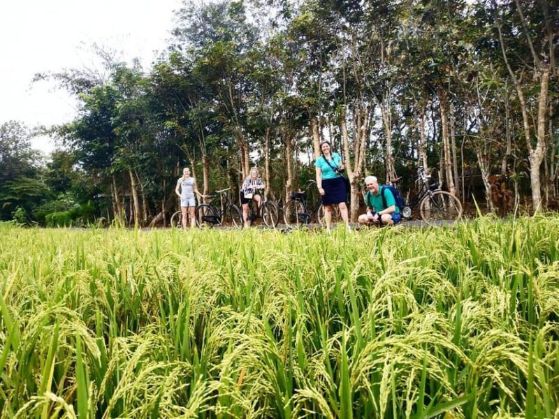 Yogyakarta: Traditional Village Bicycle Tour With Transfer - Inclusions and Exclusions