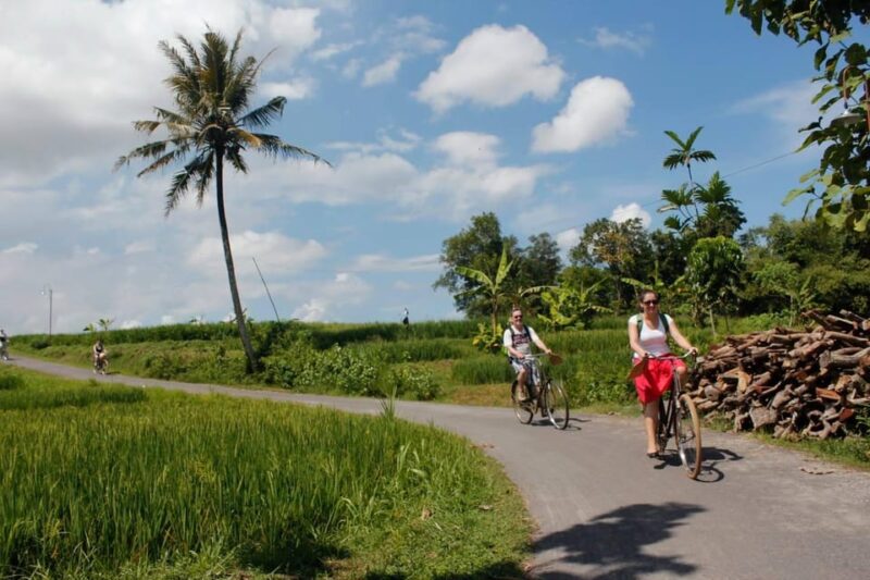 Yogyakarta: Traditional Village Bicycle Tour With Transfer - Important Information