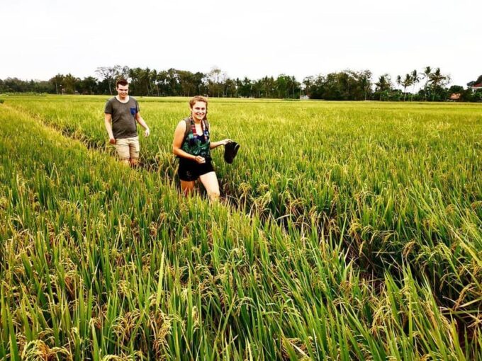 Yogyakarta: Traditional Village Bicycle Tour With Transfer - Pricing and Cancellation