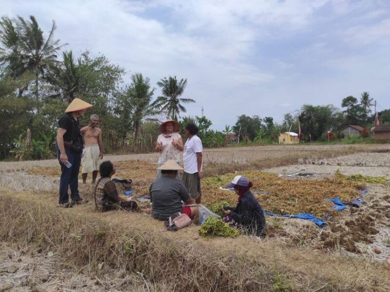 Yogyakarta: Village Cycling Tour Feel Real Local Atmosphere - Key Points