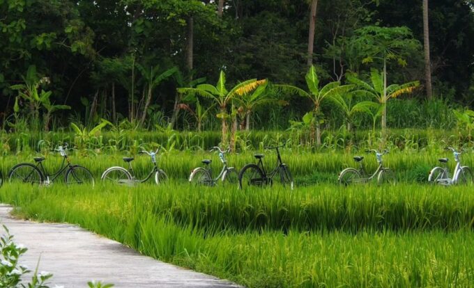 Yogyakarta: Village Cycling Tour Feel Real Local Atmosphere - Frequently Asked Questions