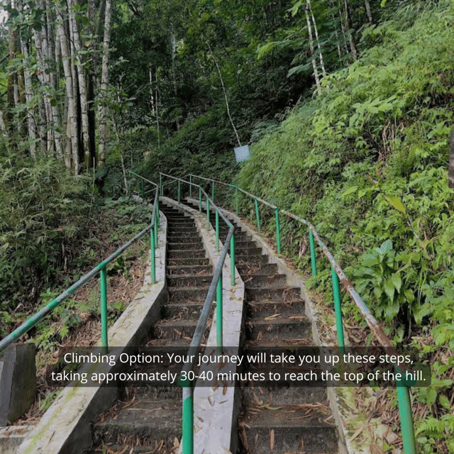 Yogyakarta Volcano: Merapi Volcano on Hilltop (Lava Viewing) - Key Points