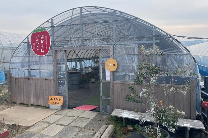 YokaBus 2 Hour Strawberry Feast Healthy Lunch Sakura Dyeing Tour - Cancellation and Booking
