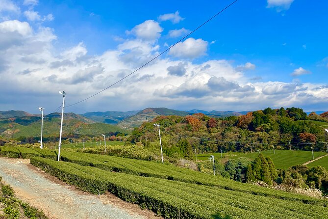 YokaBus Heritage in a Cup of a Yame Tea & Sake Tasting Expedition - Matcha Grinding Experience