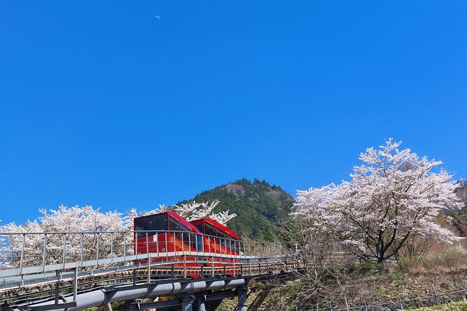 YokaBus Hikosan Jingu and Showa Era Market Tour - Hikosan Slope Car