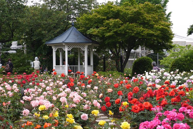 Yokohama 4hr Private Tour With Government-Licensed Guide - Guide Information