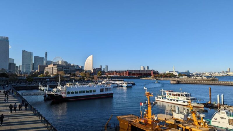 Yokohama: Drunk History With John - Pricing and Booking