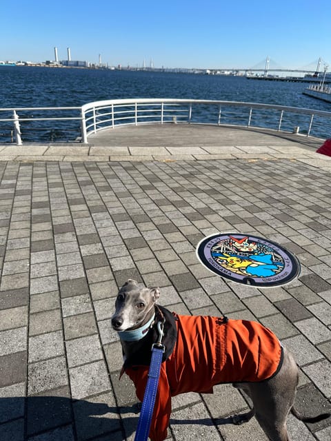 Yokohama: Family Tour With Manhole Covers & Vehicles - Yokohama Marine Tower