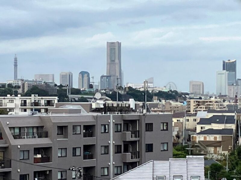 Yokohama Full Day Tour With a Local Expert Guide - Guided Tour Features