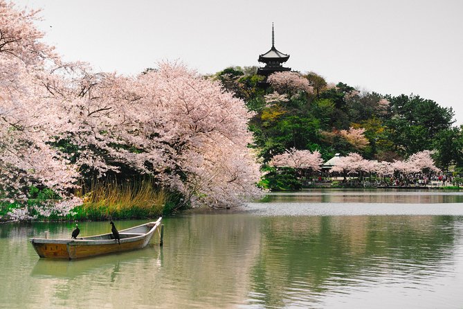 Yokohama Half Day Tour With a Local: 100% Personalized & Private - Meet-Up Location Options
