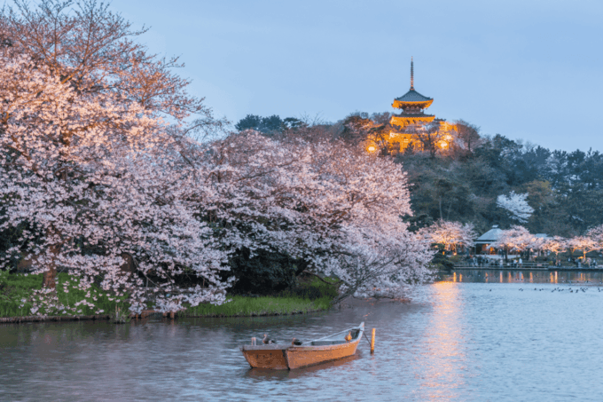 Yokohama Kanagawa One Day Private Charter Car From Tokyo - Experience Customization