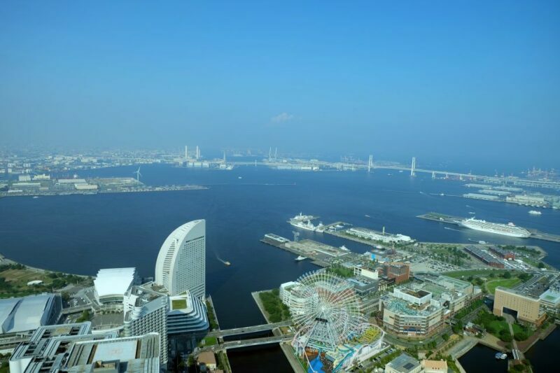 Yokohama Private Welcome Tour with a Local - Who Will Appreciate This Tour?