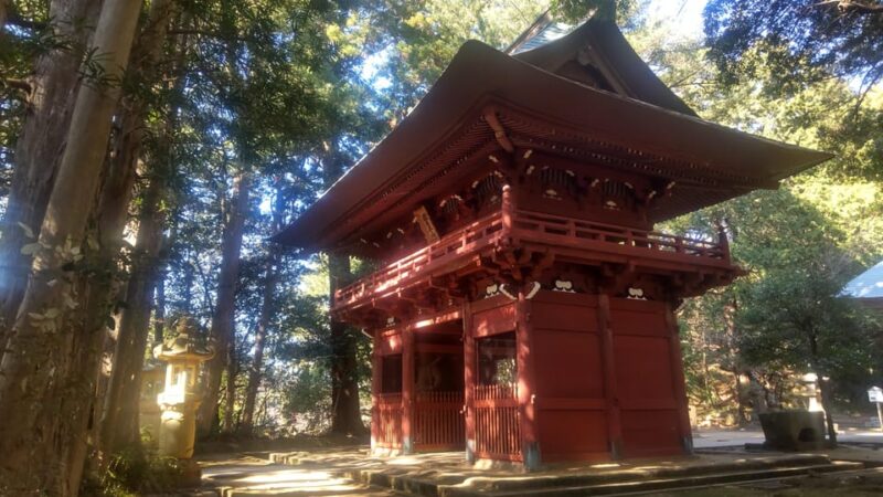Yokosuka: Hike and Local Cruise Experience in English - Key Points