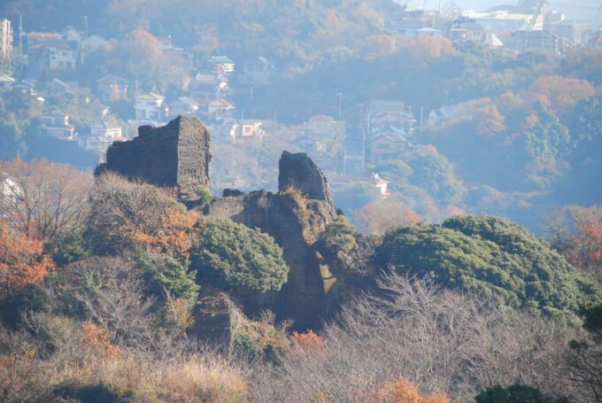 Yokosuka : Mt. Takatoriyama Hiking and Naval Port Cruise - Customer Feedback