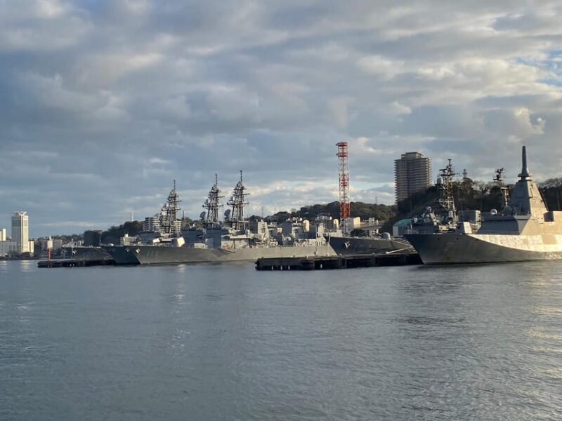 Yokosuka: Uninhabited Island and Naval Port Cruise - Historical Sites on Sarushima Island