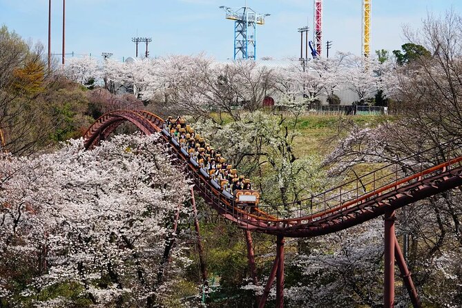 Yomiuriland Express One Day Pass in Tokyo - Important Information