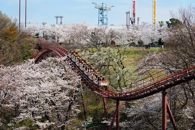Yomiuriland One Day Pass Ticket in Tokyo - Tips for Visiting Yomiuriland