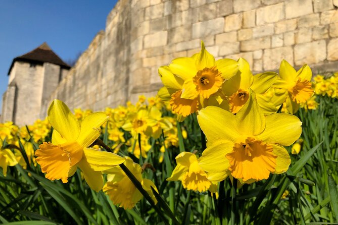 York 3-Hour Photography Walking Tour - Photography Guidance