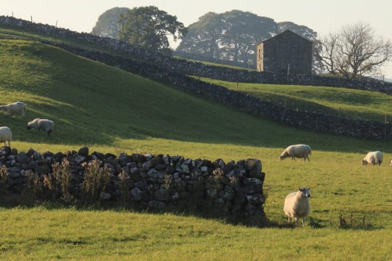York: All Creatures Great and Small Yorkshire Dales Tour - Customer Reviews