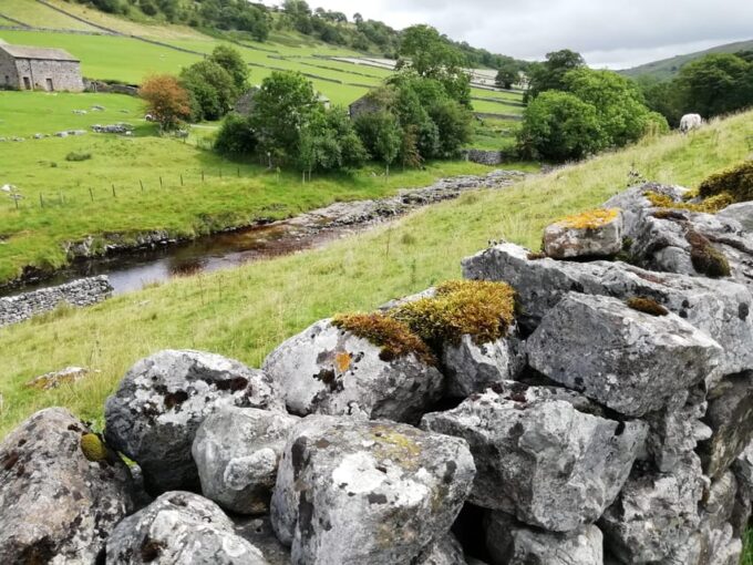 York: All Creatures Great and Small Yorkshire Dales Tour - Wensleydale and Swaledale